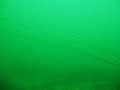 Hornby Island Short Dive