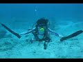 Palau Fun! Day 3 (Huge Mantas, Jellyfish lake, Sharks)