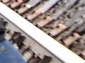 birdhouse-demo-home-movie.html