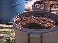 Worm Farm Fertilizer