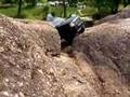 RC ROCK CRAWLING meeting IN HIRATOBASHI