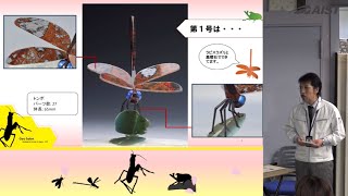 石が息づく世界フル版の動画へ