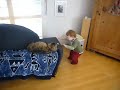 tomjerry