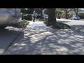SkateBoarder Wannabie
