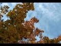 Autumnal