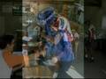 les cyclos année 2008