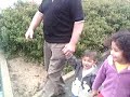 Mateo