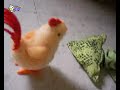mmmm ya tenemos aqui el videoclip oficial de PolloTV :D!. Toda la mañana haciendolo xD que pesha :$. Con la musica de Hot Chicken XD, NO OS LO PERDAIS!