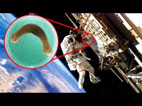 Most INCREDIBLE Space Experiments Ever Done!