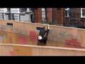 Parkour Tutorial - 360 Cat