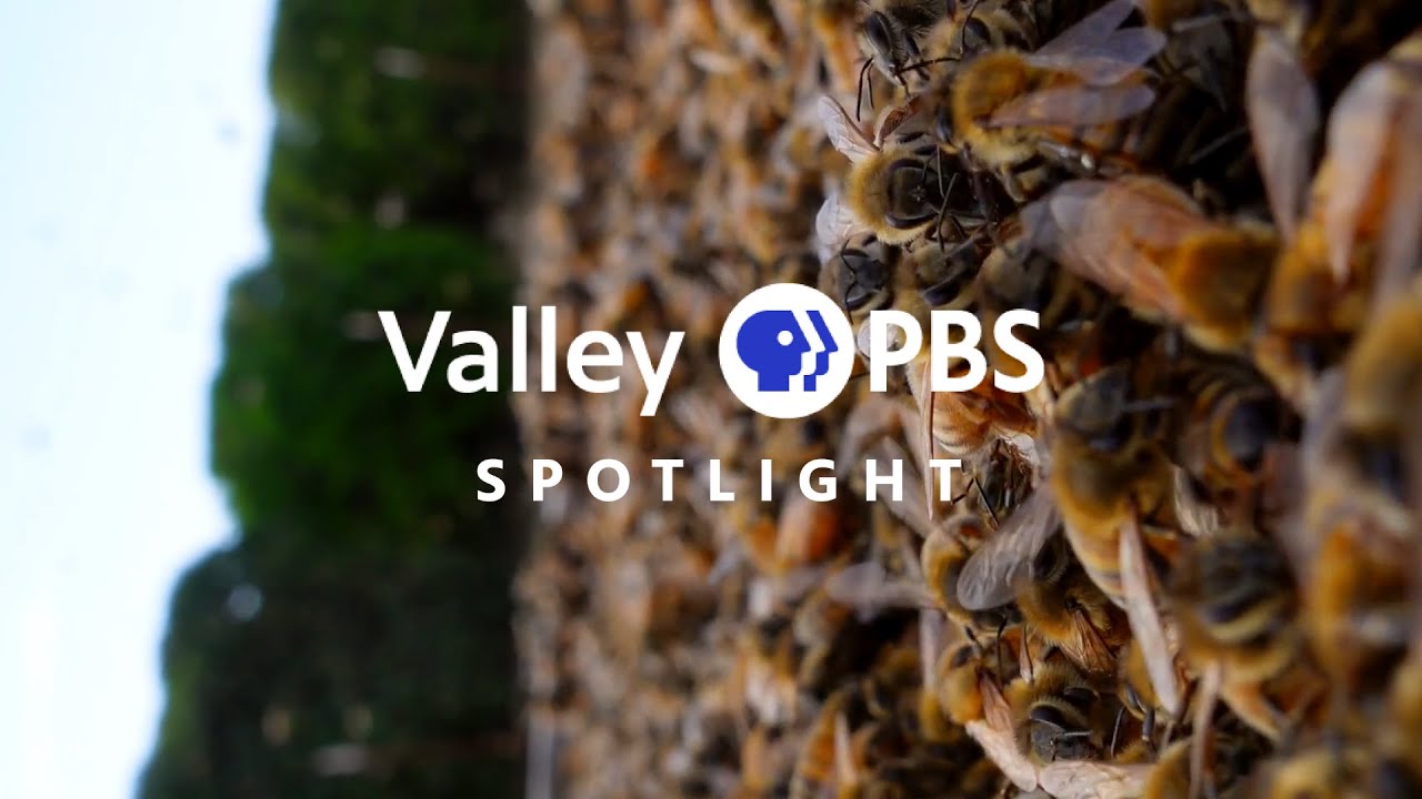 Valley PBS Spotlight | Valley Gold