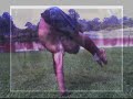 THIAGO CAPOART