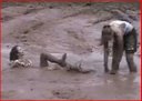 Mudfest - One Of The Souths Wildest Parties (Part 8)
