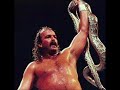 Jake the snake roberts 1st Theme