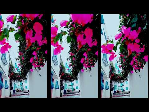 'D�dale fleuri � Sidi Bou Sa�d' avec Nicole Coppey