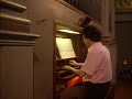 5) Friedrich Wilhelm Zachow Jesu meine  Variationen