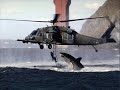 Shark Attack on Airborne NAVY Helicopter