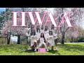 HWAA - (G)-IDLE [KWNS]