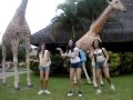 vem pro girafas ;D