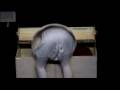 videos de Lady M. - Annemarie de Bruijn