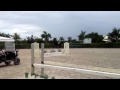 Click here to watch this video Tess/ hunter prospect