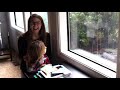 How To Homeschool Preschool + Tips And The Curriculum We Use