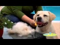 Furminator Video