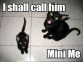 Lolcats