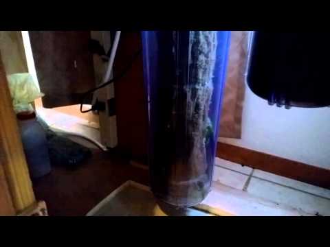 how to make vegetables sink in aquarium