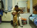 cusano milanino