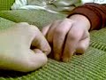 HAHA. hand puppets HAHA. hand puppets