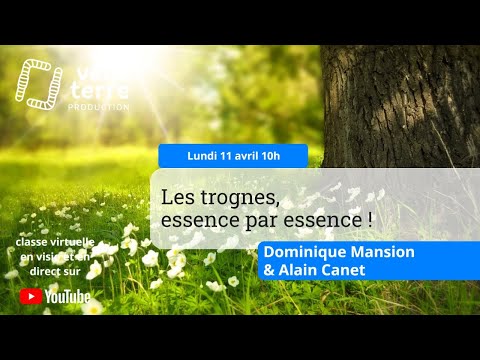 Image de prévisualisation YouTube