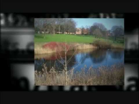 how to say i love you in irish