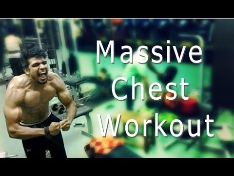 Bodybuilder 39 S Guide To Bcaas Flex Online Himl 4 Maximum Muscle Building Workout System