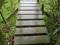 stile bridge on footpath No 27 Lostwithiel