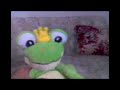 el  aro  frog