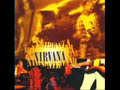 NIRVANA-Breed NIRVANA-Breed