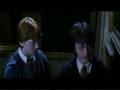 (Xtreme)Coldmirror Zitate: Harry Potter