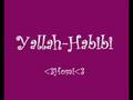 yalla-habibi
