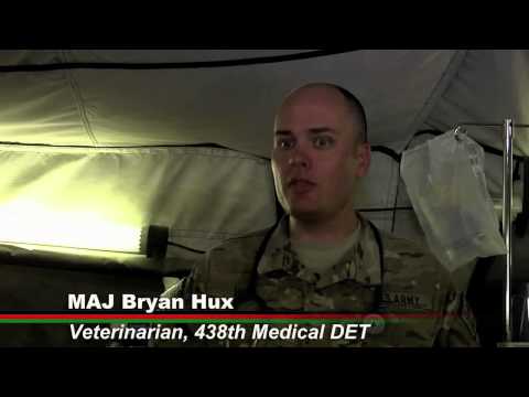 Military Dog Video of the Week(August 9th, 2012): K9 Healers 0 Military Dog Video of the Week(August 9th, 2012): K9 Healers