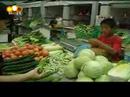 The Freshest Place in China! The Freshest Place in China!
