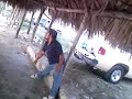 payucaaaaabaile payucaaaaabaile