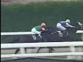 平成15年6月17日第5回上山競馬5日目　第10競走サラ系3歳A2以下〈中央未勝利）距離1300m（アララット（JRA)勝利　※パラダイスアゲン（上山）2着）
