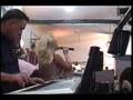 Violeta Kukaj & Kastriot Gashi, Sydney, Australi - Pjesa I