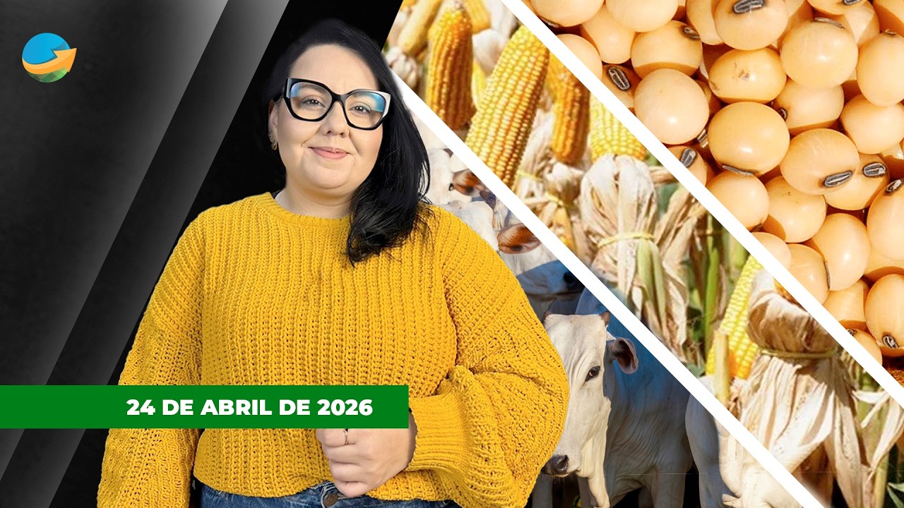 Clima preocupa para safrinha e milho sobe no futuro brasileiro; boi tem semana de pressão e soja...