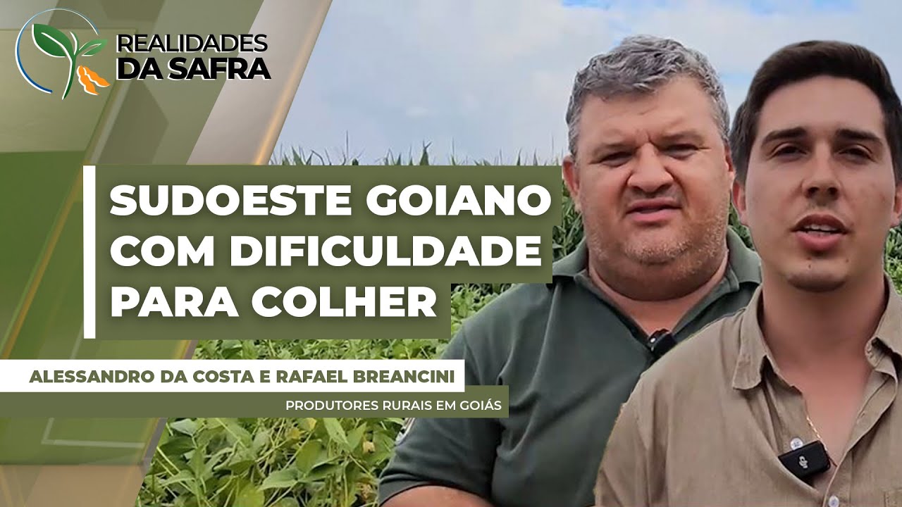 Produtores do sudoeste goiano relatam dificuldades para colher soja diante da chuva