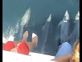 Yunuslar Marmara Denizi\ Yunuslar Marmara Denizi\