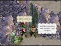 Santa Baby! [Ypp Mvideo]