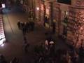 Rendori Brutalitas a Vaci utcaban