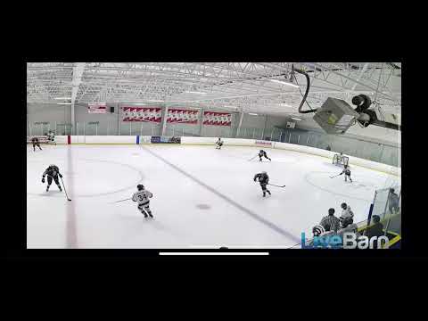 2023-24 midseason highlights